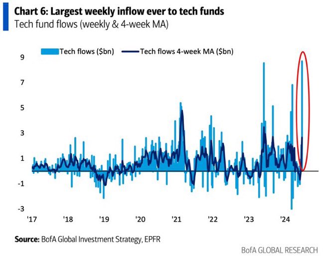 stock market inflows investors buyiing stocks june chart year 2024