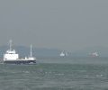 Environmental groups decry attempt to delay shipping rules intended to save whales