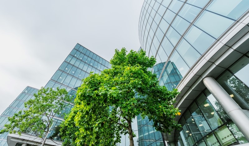 The Regulatory Review