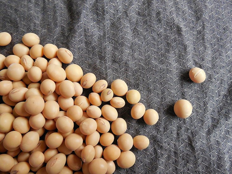 Soybean Elliott Wave technical analysis [Video]