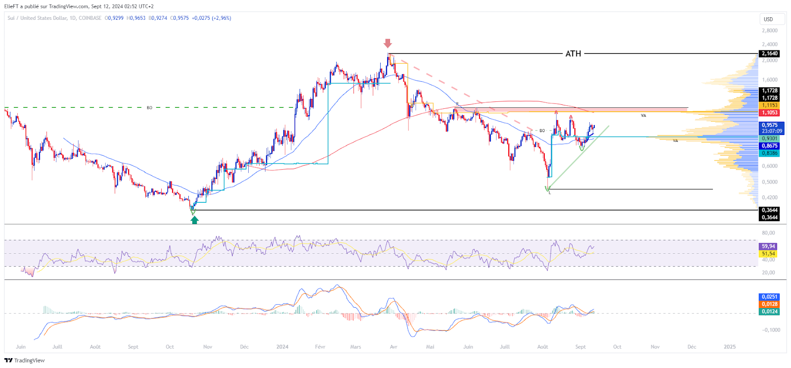 Graphique des prix quotidiens SUI/USD