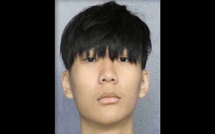 20-year-old, Malone Lam, and his co-conspirator have been charged with conspiracy to steal and laun...