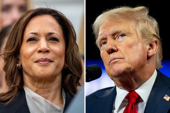 50% of Crypto Voters are likely to vote for Trump over Harris: Survey
