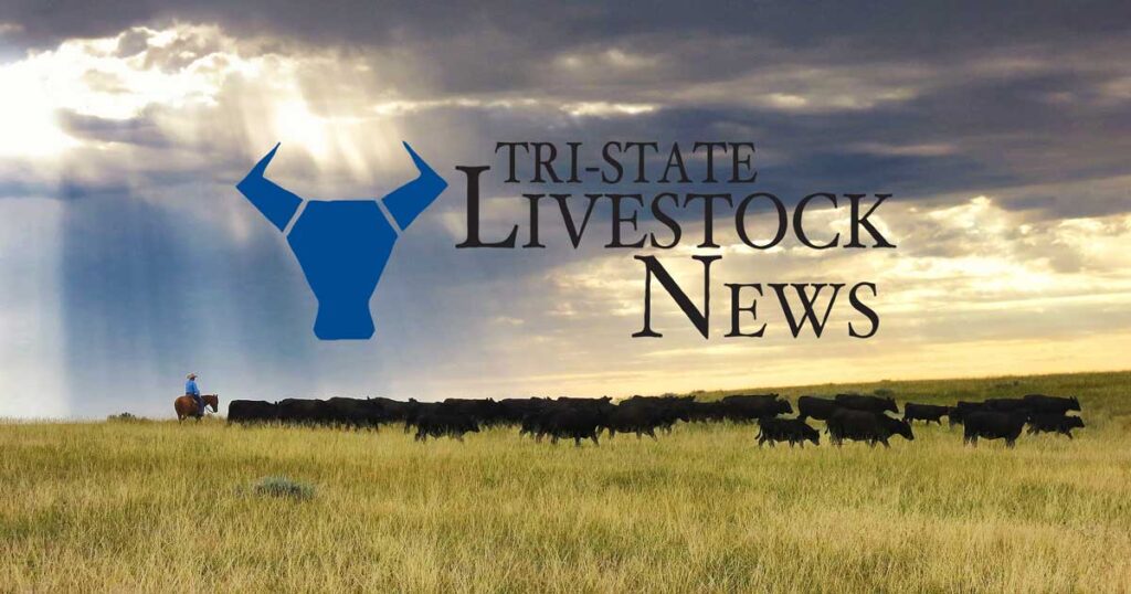 Varilek’s Cattle Call: Stock market playing a role