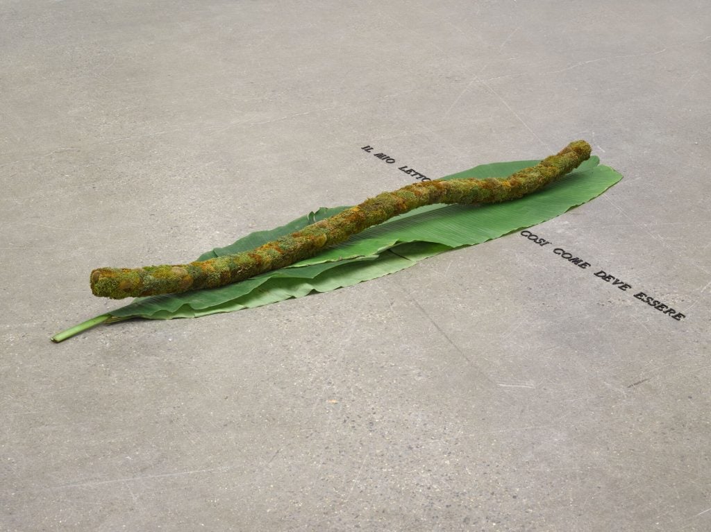 Installation artistique minimale mettant en scène une branche de mousse posée sur deux grandes feuilles de bananier. L'installation est placée sur un sol en béton avec la phrase italienne «IL MIO LETTO COSÌ COME DEVE ESSERE» («Mon lit tel qu'il doit être») écrite à côté.