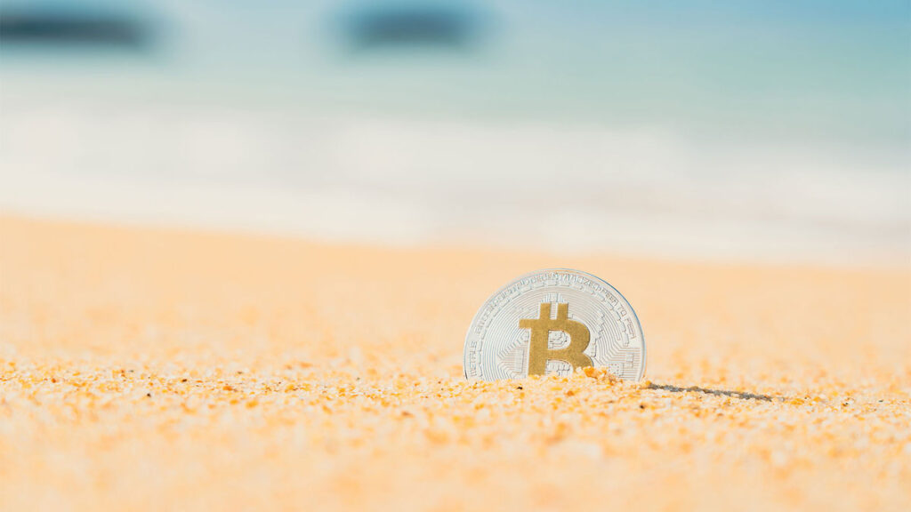 American Marketing Group agency networks now accept crypto for payment: Travel Weekly