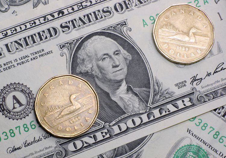 USD/CAD Elliott Wave technical analysis [Video]