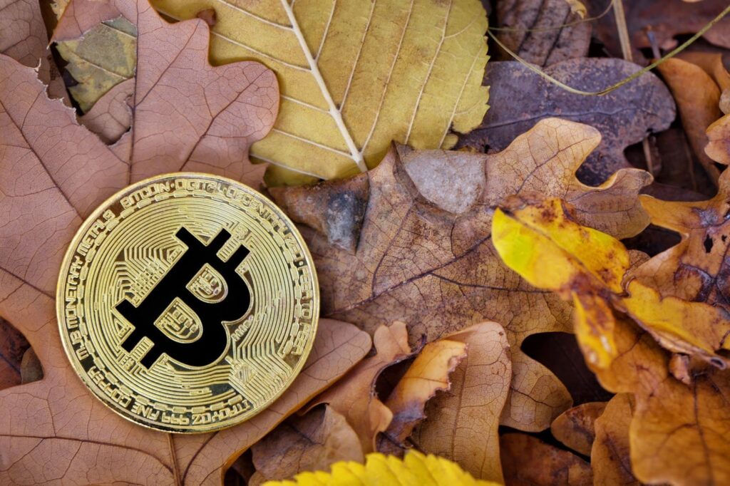 Bitcoin Breaks The Mold With Strong September Gains, But Will It Continue?