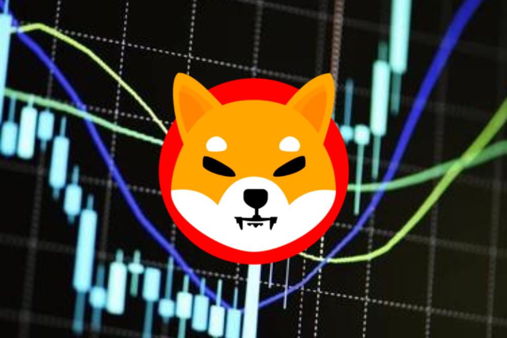 ChatGPT Sets Shiba Inu (SHIB) Price For November 1, 2024