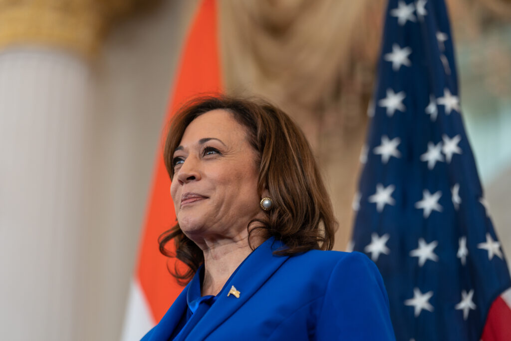Prediction: 3 Unstoppable Stocks That Can Rocket Higher if Kamala Harris Wins in November
