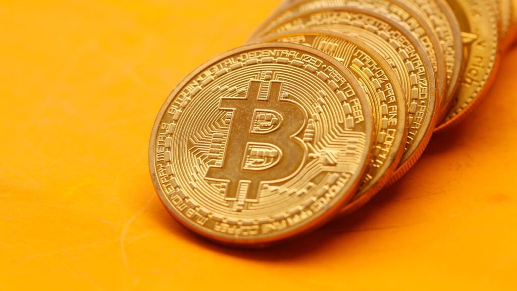 Bitcoin keeps smashing records. See its wild 2024 ride