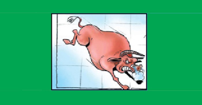 New Age | Stocks rise for second week