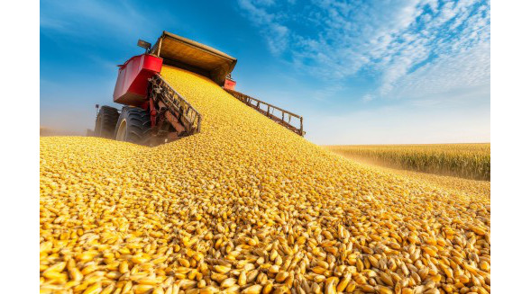 Ohio State’s 2024 Agricultural Outlook and Policy Conference to Address Key Issues