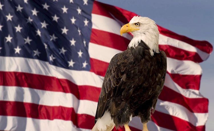 Markets remain on edge on US election day